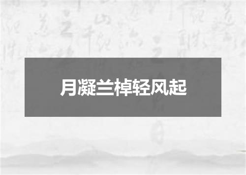 月凝兰棹轻风起