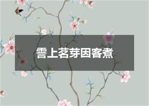 霅上茗芽因客煮