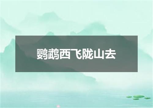鹦鹉西飞陇山去