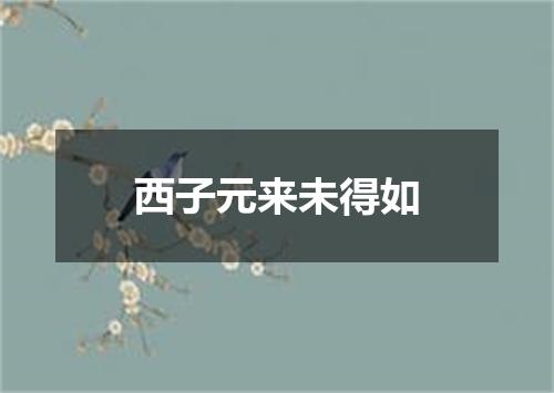 西子元来未得如