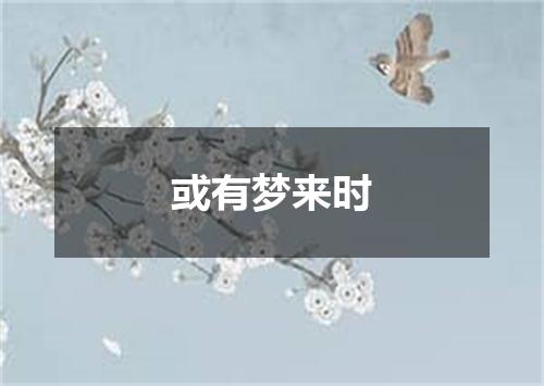 或有梦来时