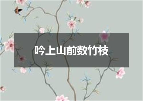 吟上山前数竹枝