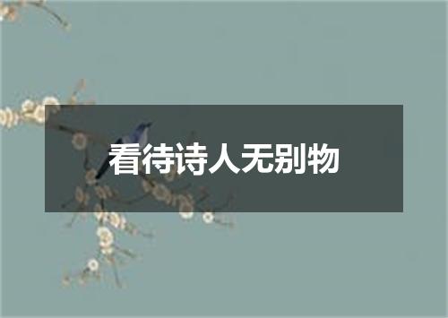 看待诗人无别物
