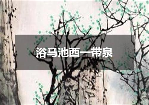 浴马池西一带泉