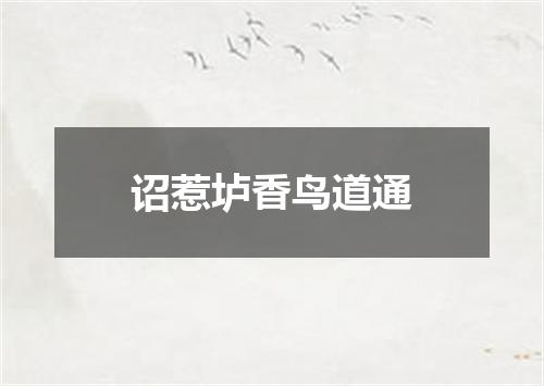 诏惹垆香鸟道通