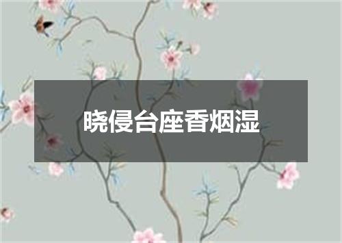 晓侵台座香烟湿