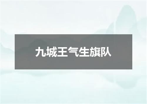九城王气生旗队