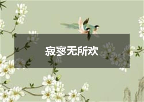 寂寥无所欢