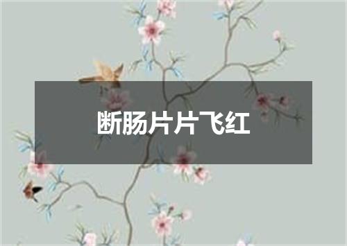 断肠片片飞红
