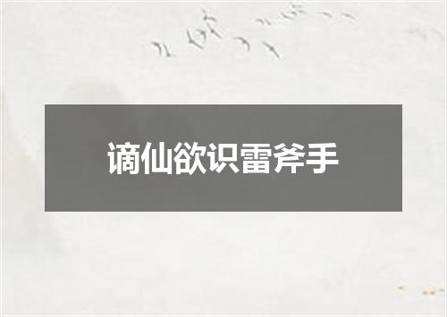 谪仙欲识雷斧手