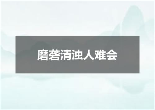 磨砻清浊人难会