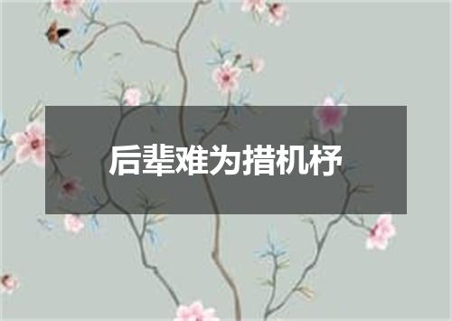 后辈难为措机杼