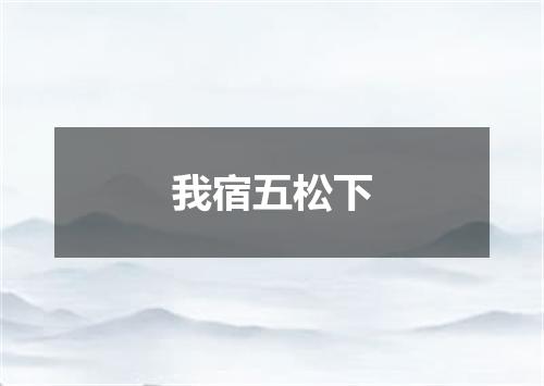 我宿五松下