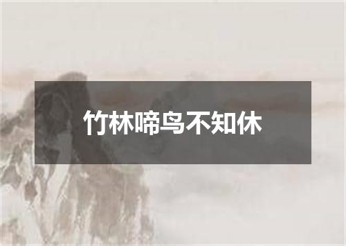 竹林啼鸟不知休
