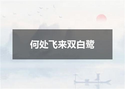 何处飞来双白鹭