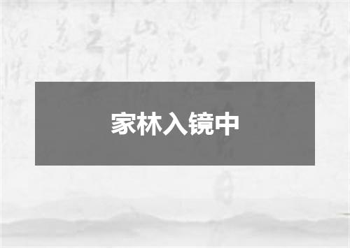 家林入镜中