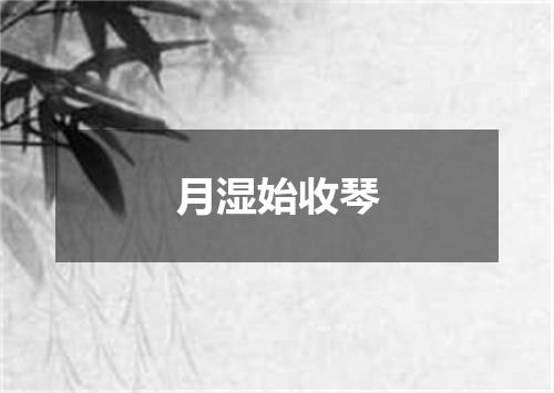 月湿始收琴