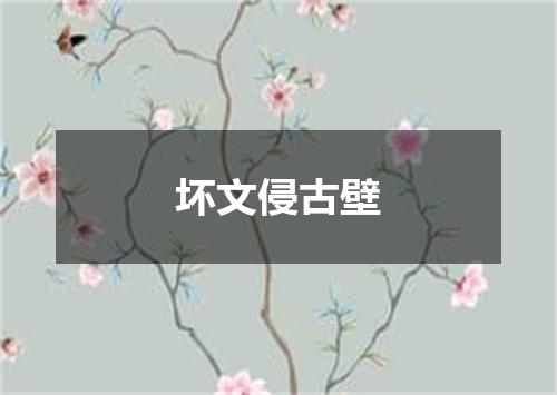 坏文侵古壁