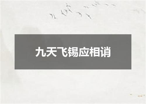 九天飞锡应相诮