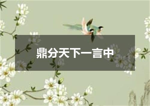 鼎分天下一言中