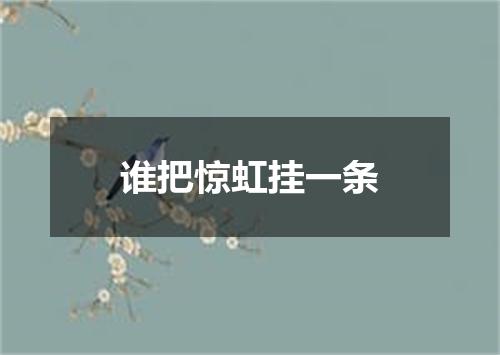 谁把惊虹挂一条