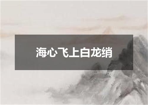海心飞上白龙绡