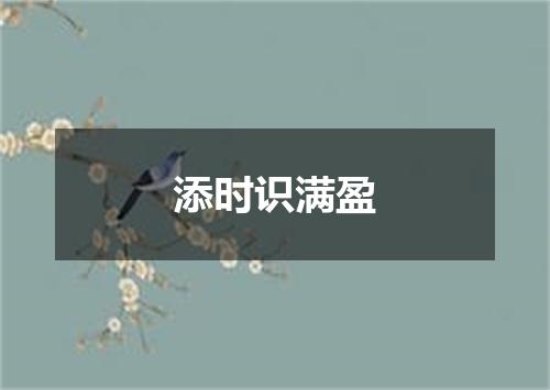 添时识满盈