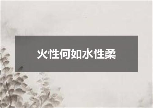 火性何如水性柔