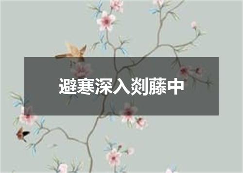 避寒深入剡藤中