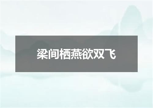 梁间栖燕欲双飞