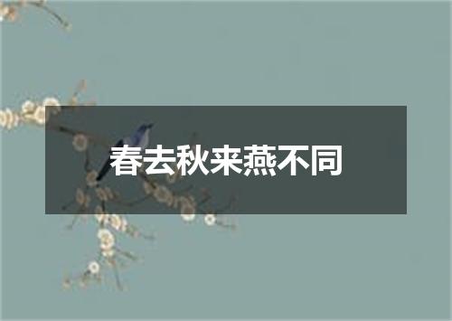 春去秋来燕不同