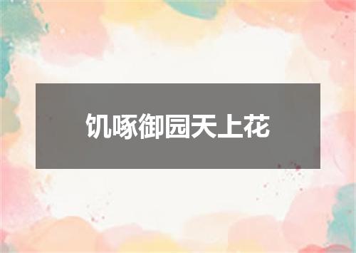 饥啄御园天上花