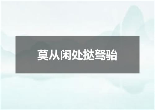 莫从闲处挞驽骀