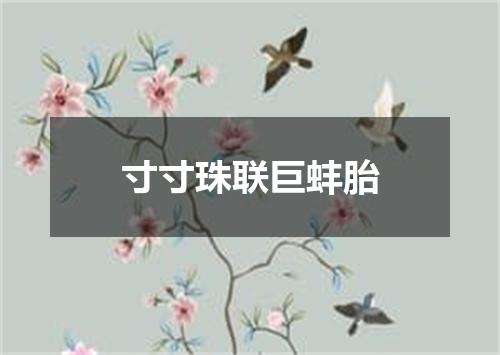 寸寸珠联巨蚌胎