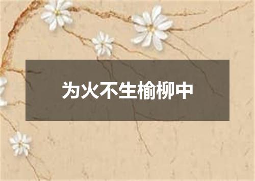 为火不生榆柳中
