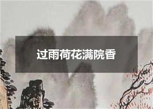 过雨荷花满院香