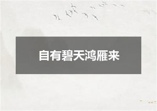 自有碧天鸿雁来