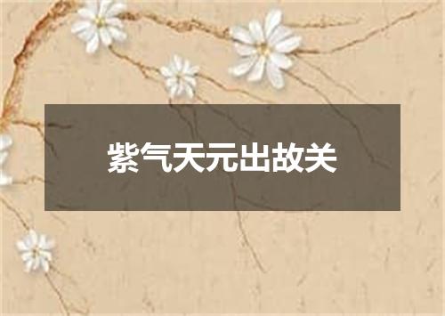 紫气天元出故关