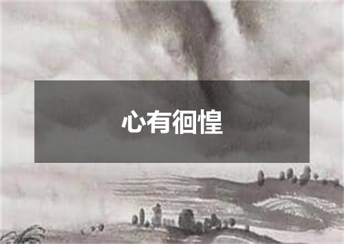 心有徊惶