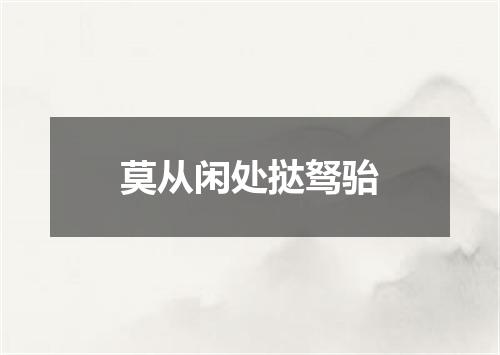 莫从闲处挞驽骀