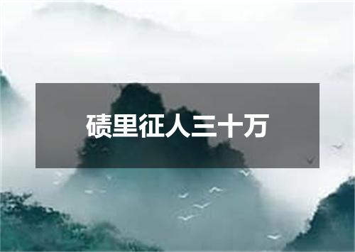 碛里征人三十万