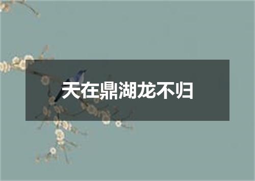天在鼎湖龙不归