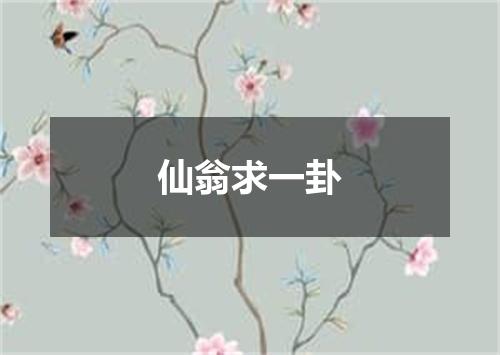 仙翁求一卦