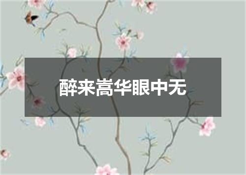 醉来嵩华眼中无