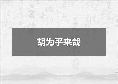 胡为乎来哉