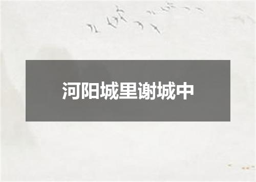 河阳城里谢城中