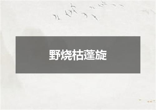 野烧枯蓬旋