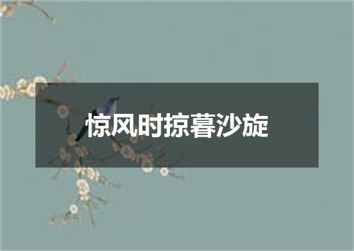惊风时掠暮沙旋