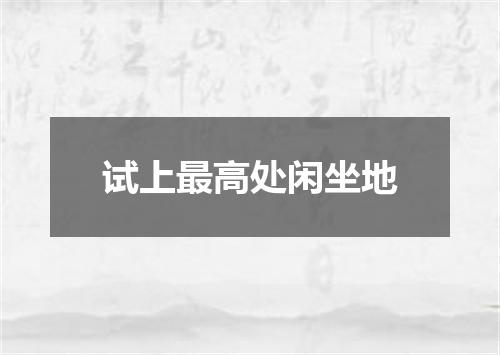 试上最高处闲坐地