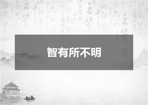 智有所不明